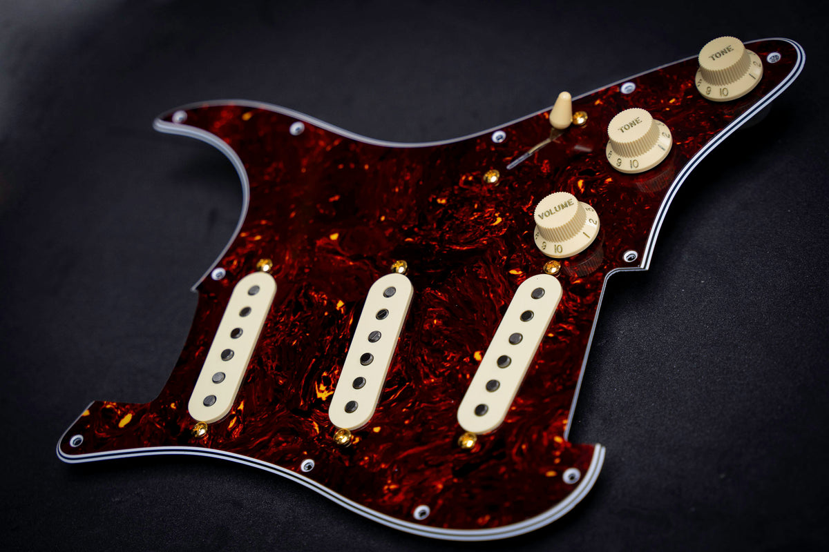 Custom Works: Noiseless Loaded Pickguard for Strat® | Stop the Buzz ...